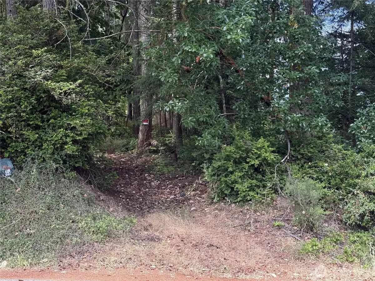 19421 24th Street Sw, Lakebay, WA 98349 - #1