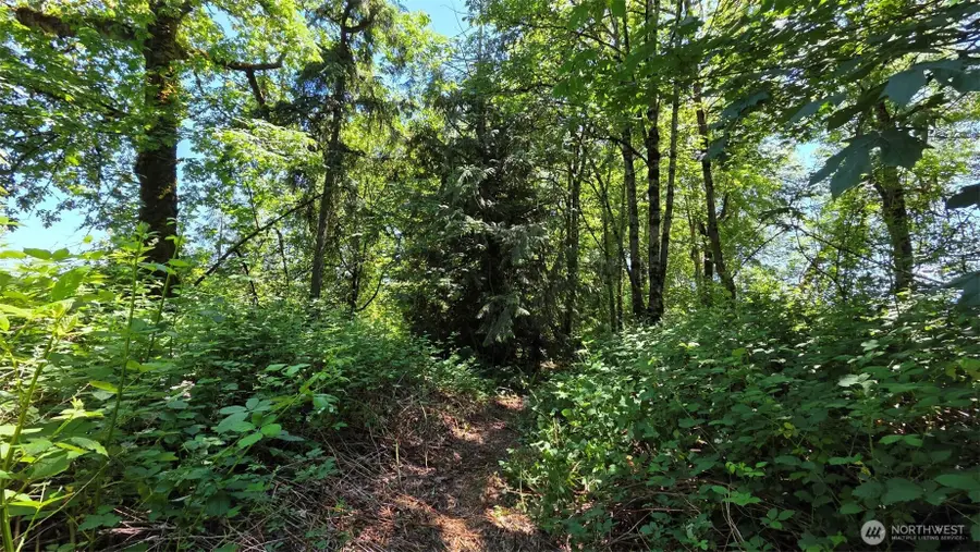 123 Mulford Street, Toledo, WA 98591 - #2