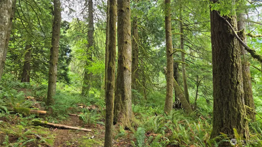 33317 SE Kent Kangley Road, Ravensdale, WA 98051 - #3