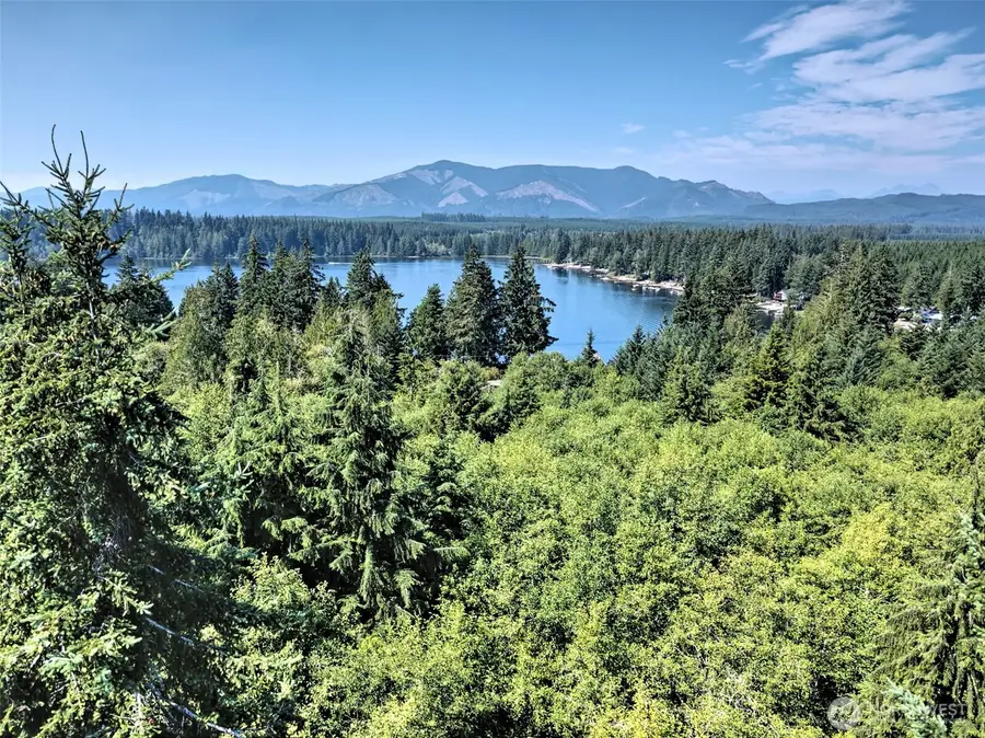 221 W Little Nahwatzel Drive #3, Shelton, WA 98584 - #3