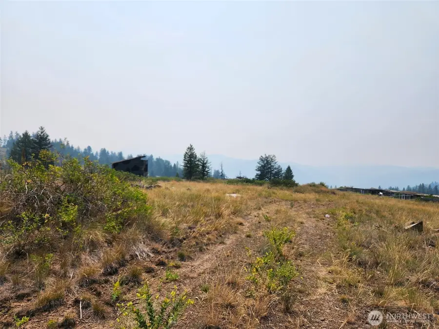 250 Union Ridge Road #Lots 158-161, Republic, WA 99166 - #3