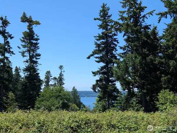 4343 S Camano Drive, Camano Island, WA 98282