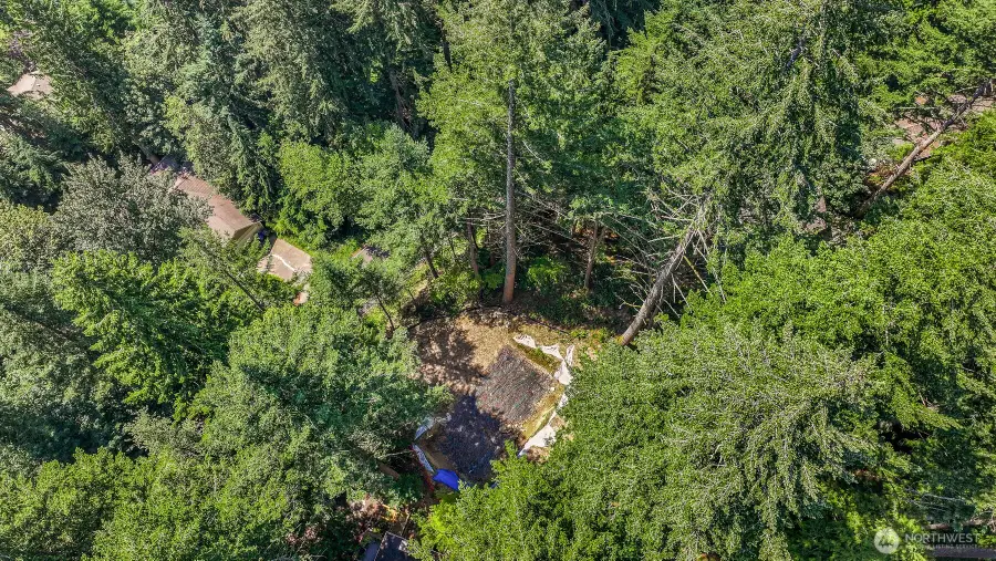 101 Polo Park Drive, Bellingham, WA 98229 - #2