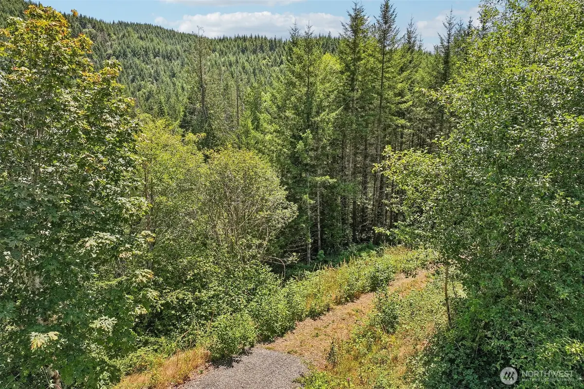 172 Mohawk Lane, Amboy, WA 98601 - #1