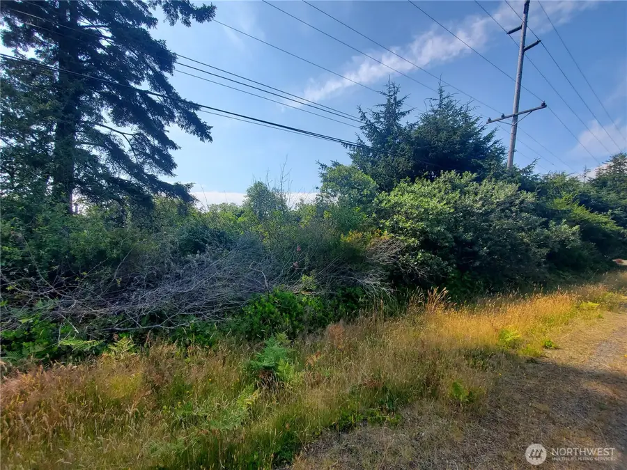 561 Dolphin Avenue Ne #277, Ocean Shores, WA 98569 - #2
