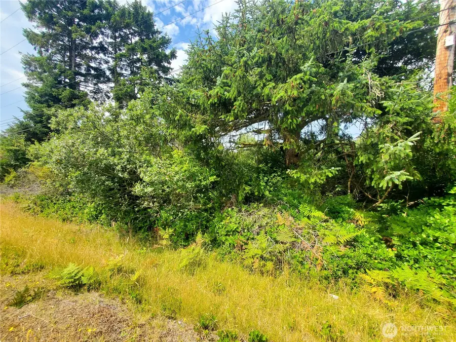 561 Dolphin Avenue Ne #277, Ocean Shores, WA 98569 - #3