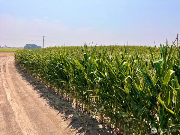 0 5 Road Nw, Ephrata, WA 98823
