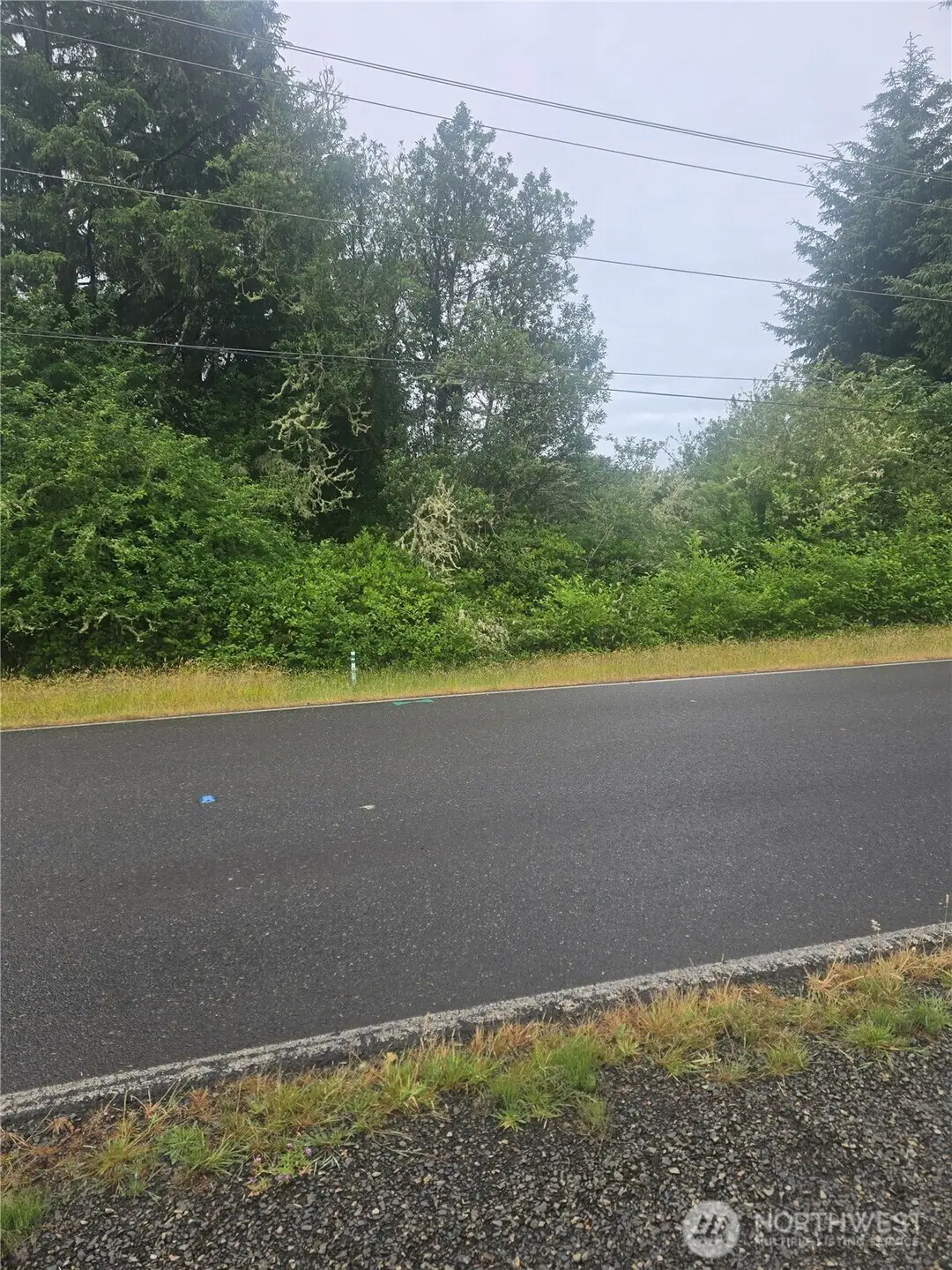 951 Mt Olympus Avenue Se #146, Ocean Shores, WA 98569 - #1