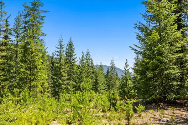 0 Fsr 4832, Easton, WA 98925
