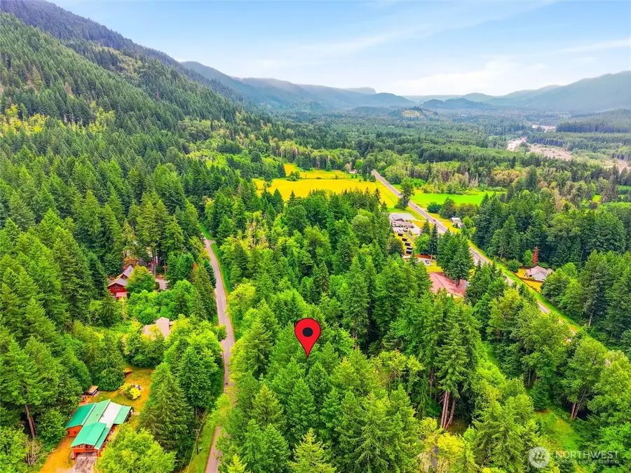 31418 Mount Tahoma Canyon Road E, Ashford, WA 98304 - #2
