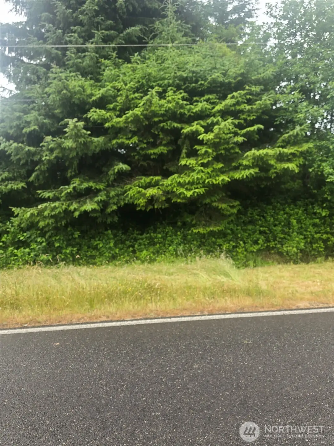 955 Mt Olympus Avenue Se #145, Ocean Shores, WA 98569 - #1