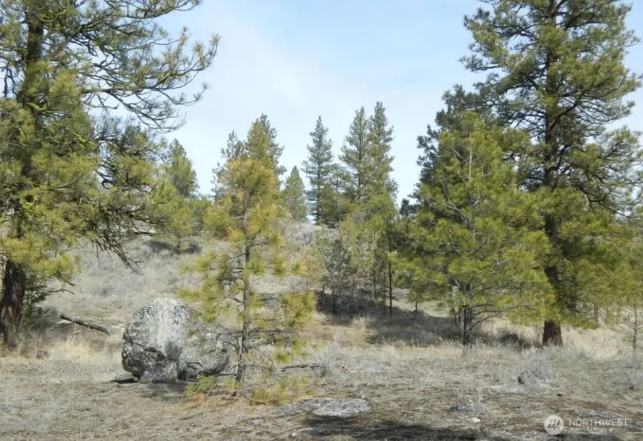 280 Reevas Basin Road, Tonasket, WA 98855 - #2