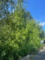 0 Lilly Road Ne, Olympia, WA 98506 - #3