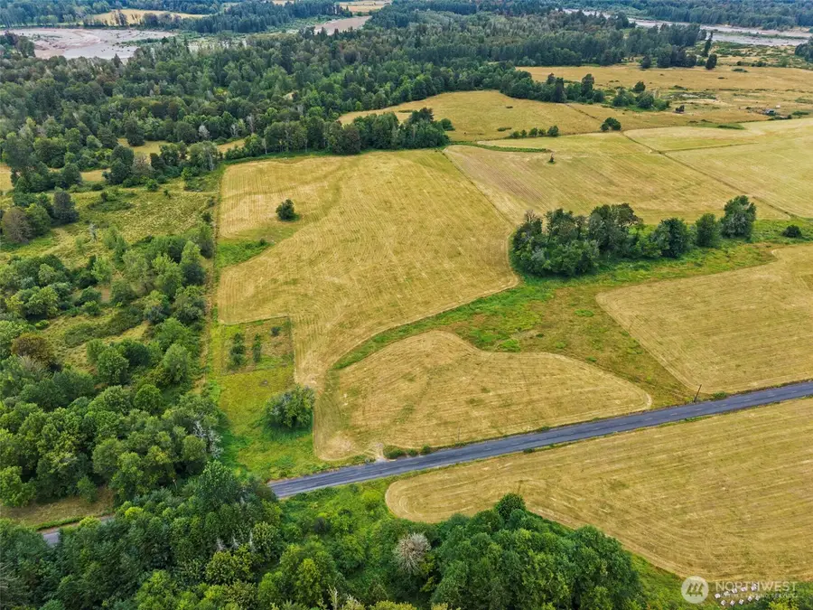 1179 Cline Road, Randle, WA 98377 - #3