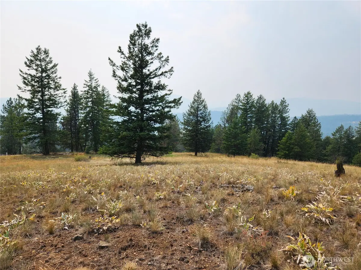 0 Rose Valley Road #Govt Lot 7, Republic, WA 99166 - #1