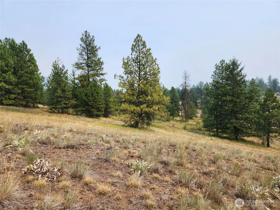 0 Rose Valley Road #Govt Lot 7, Republic, WA 99166 - #2