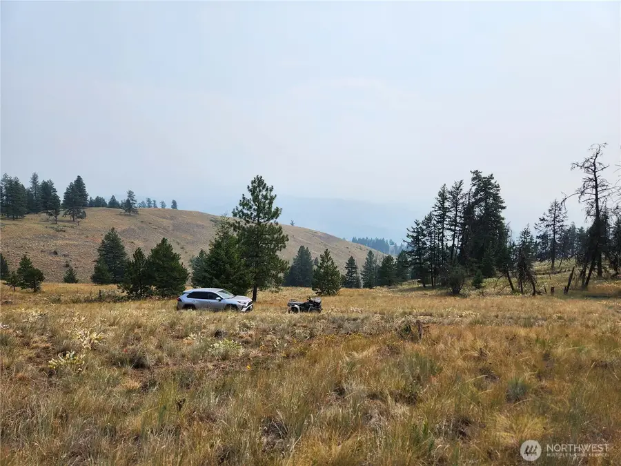 0 Rose Valley Road #Govt Lot 7, Republic, WA 99166 - #3