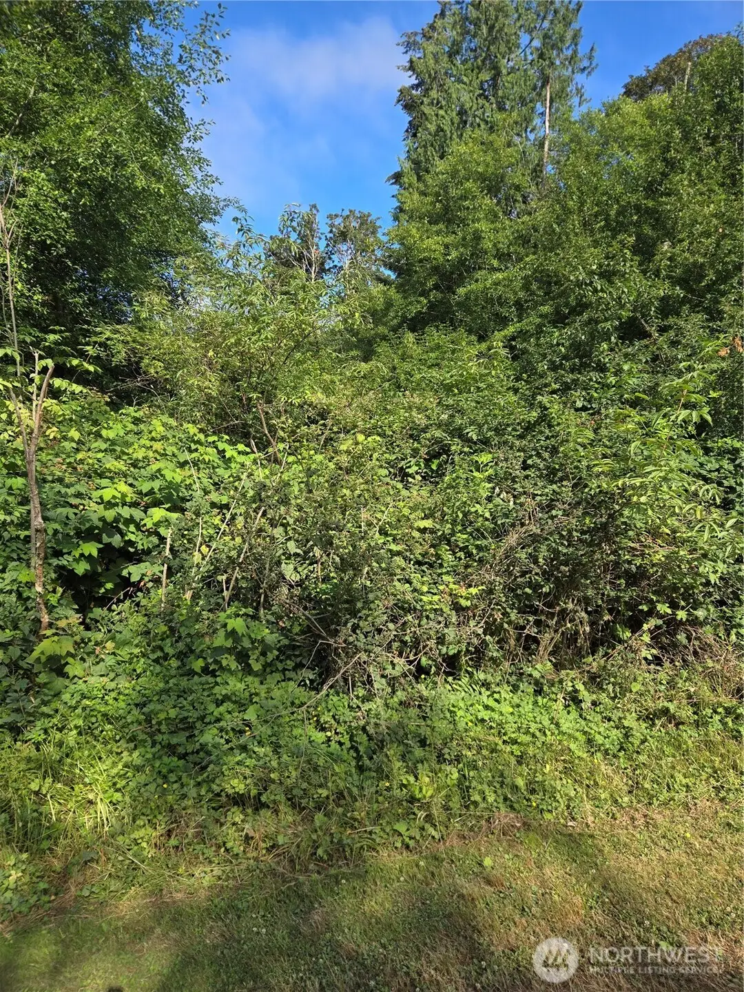 101 Port Susan Drive #101, Everett, WA 98206 - #1