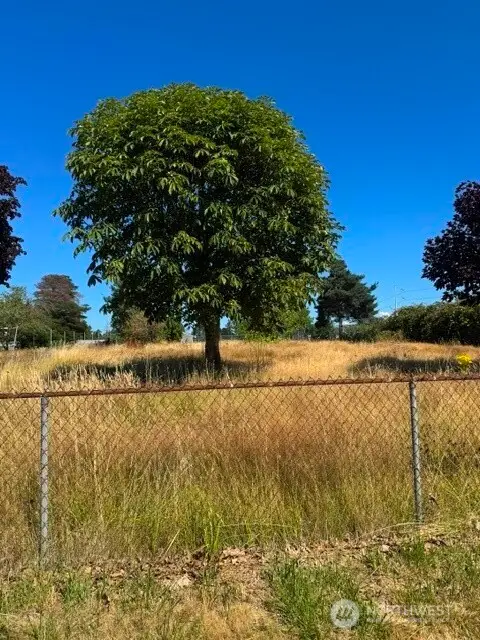 7011 E Mckinley Avenue, Tacoma, WA 98404 - #1
