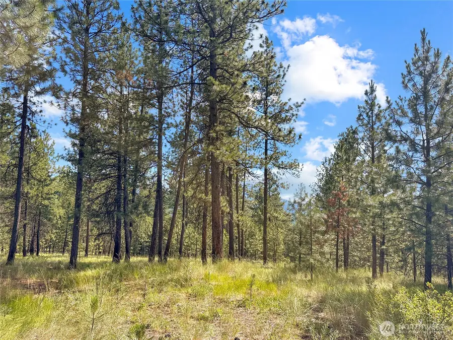 2 Tanner Short Plat #2, Riverside, WA 98849 - #3