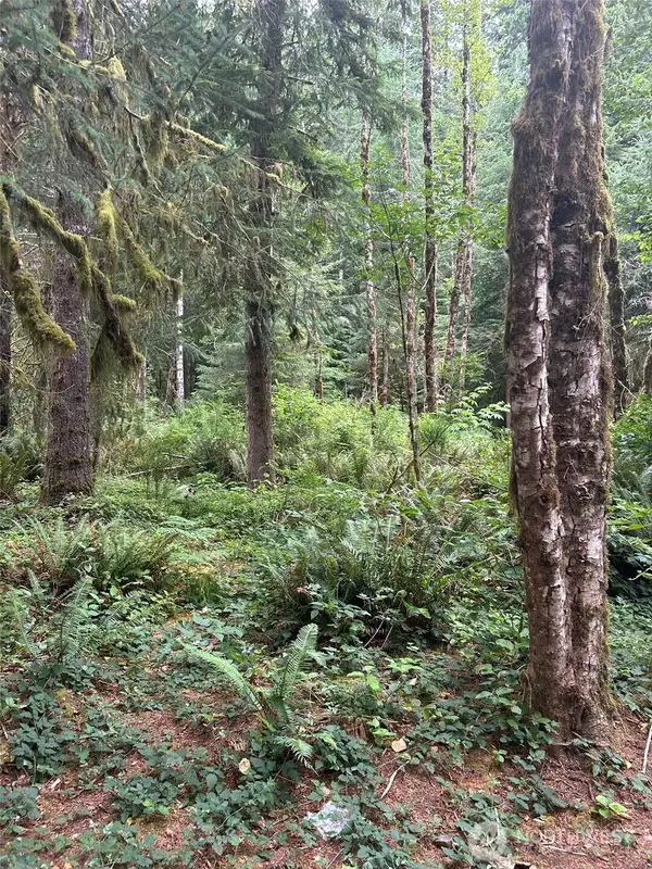 99 Highway 101, Amanda Park, WA 98526