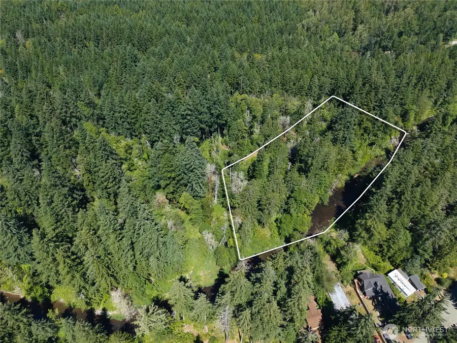 14333 Beaver Drive Se, Rainier, WA 98576 - #2
