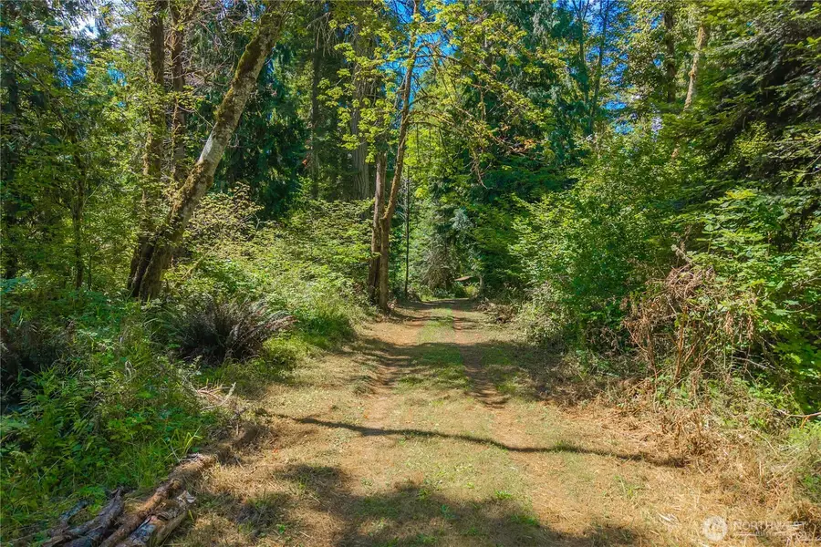 14333 Beaver Drive Se, Rainier, WA 98576 - #3