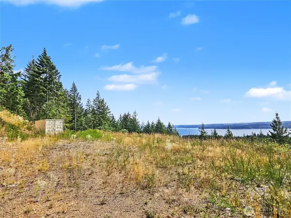646 Madrona Ridge Drive, Brinnon, WA 98320