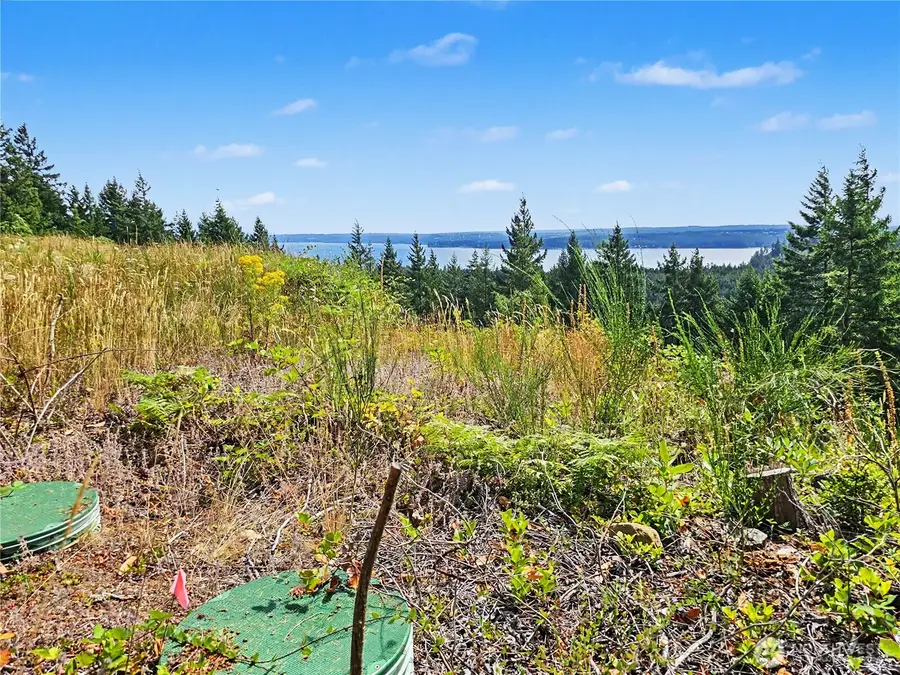 646 Madrona Ridge Drive, Brinnon, WA 98320 - #3