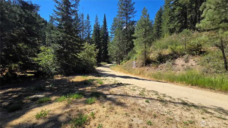 8925 Merry Canyon Road, Leavenworth, WA 98826 - #3