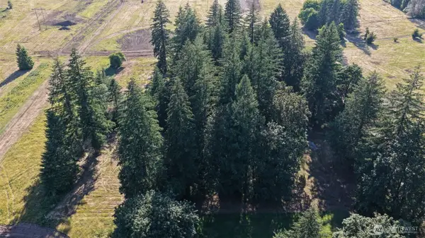 195 Bobcat Place #3, Ariel, WA 98603