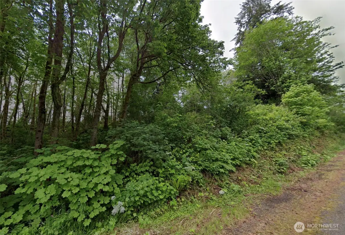 99 Airport Road, Raymond, WA 98577 - #1