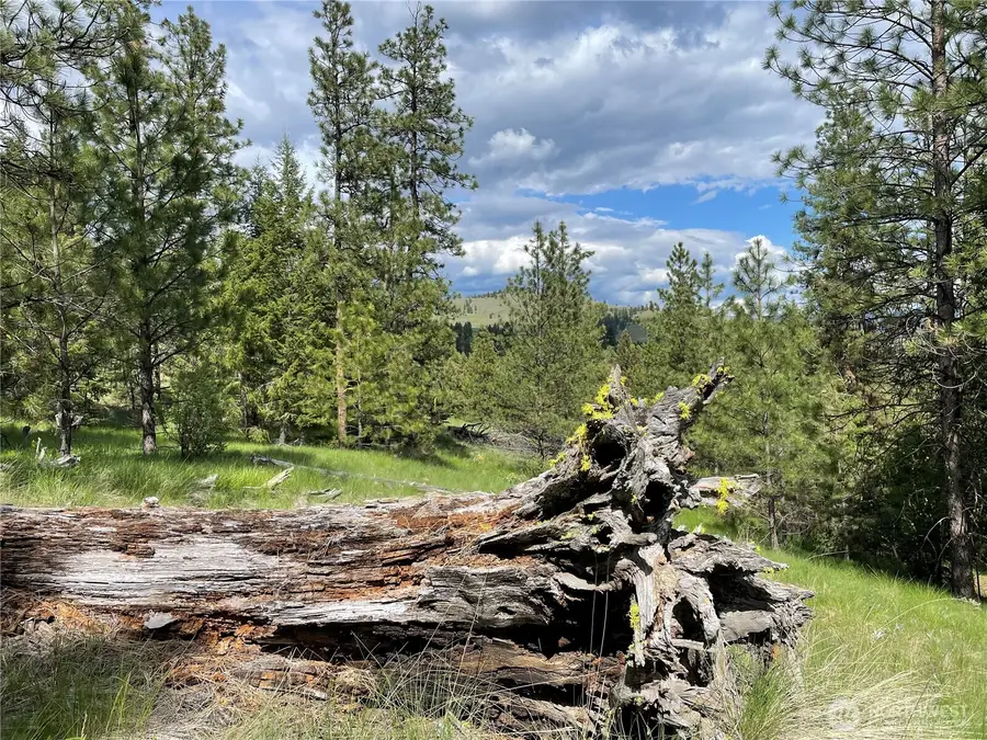 112 Tbd Sunrise Rd, Oroville, WA 98844 - #3