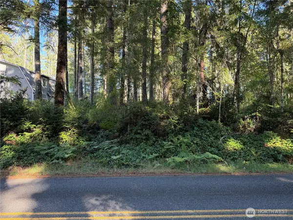 0 E Mason Lake Drive E #43, Grapeview, WA 98546