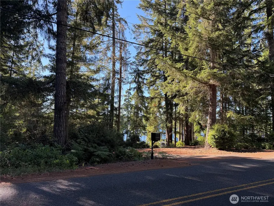 0 E Mason Lake Drive E #43, Grapeview, WA 98546 - #3