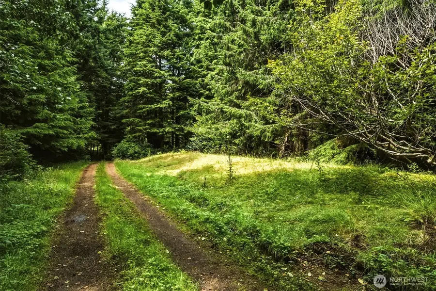 3515 State Route 109 #1, Copalis Beach, WA 98535 - #3