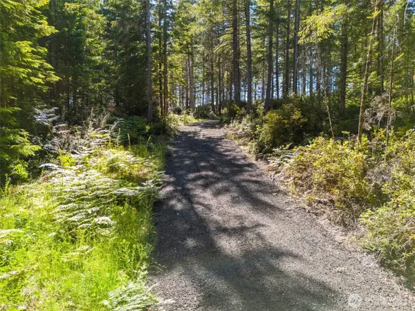 0 E Mason Lake Road #3, Grapeview, WA 98546