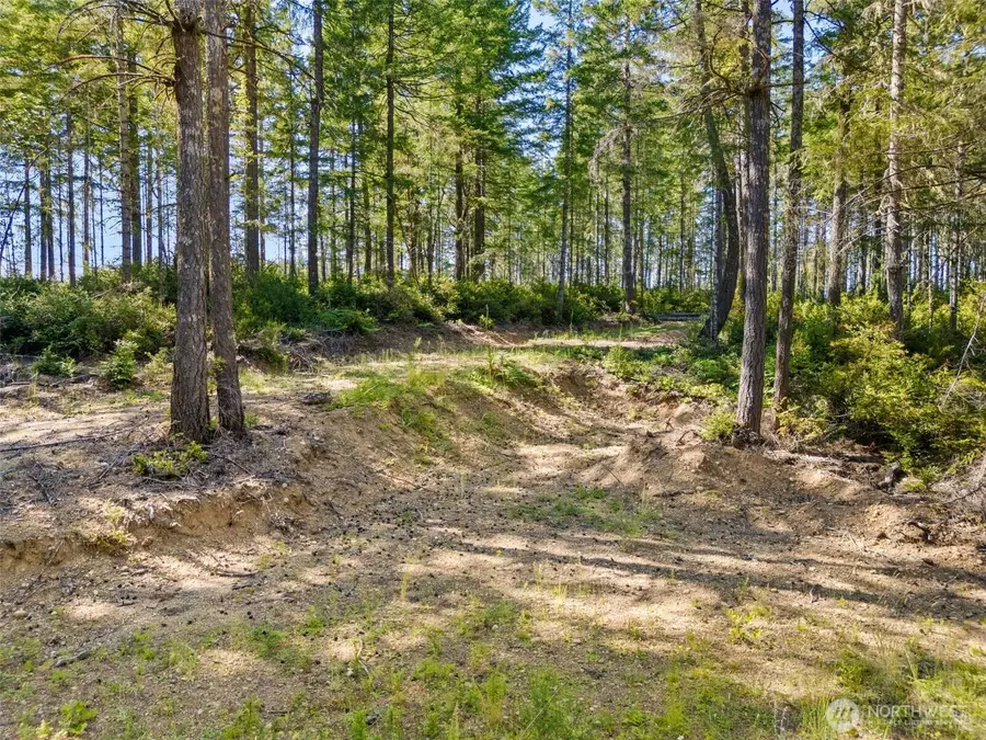 0 E Mason Lake Road #3, Grapeview, WA 98546 - #2