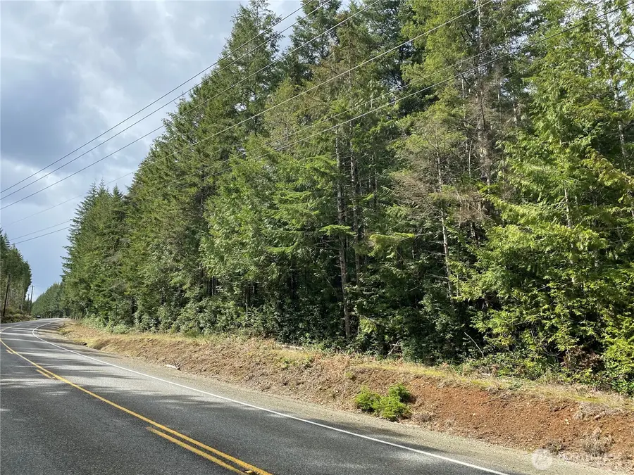 0 E Mason Lake Road #4, Grapeview, WA 98546 - #3