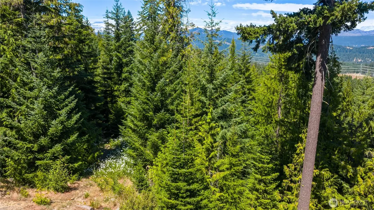 91 Basin Creek Way #2-36, Cle Elum, WA 98922 - #1