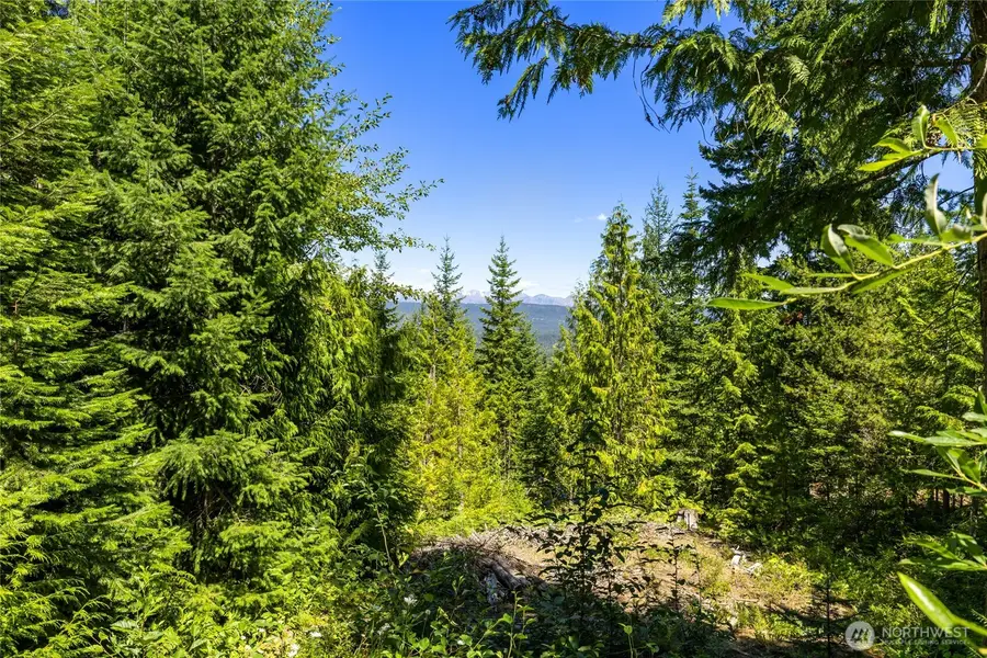 91 Basin Creek Way #2-36, Cle Elum, WA 98922 - #2