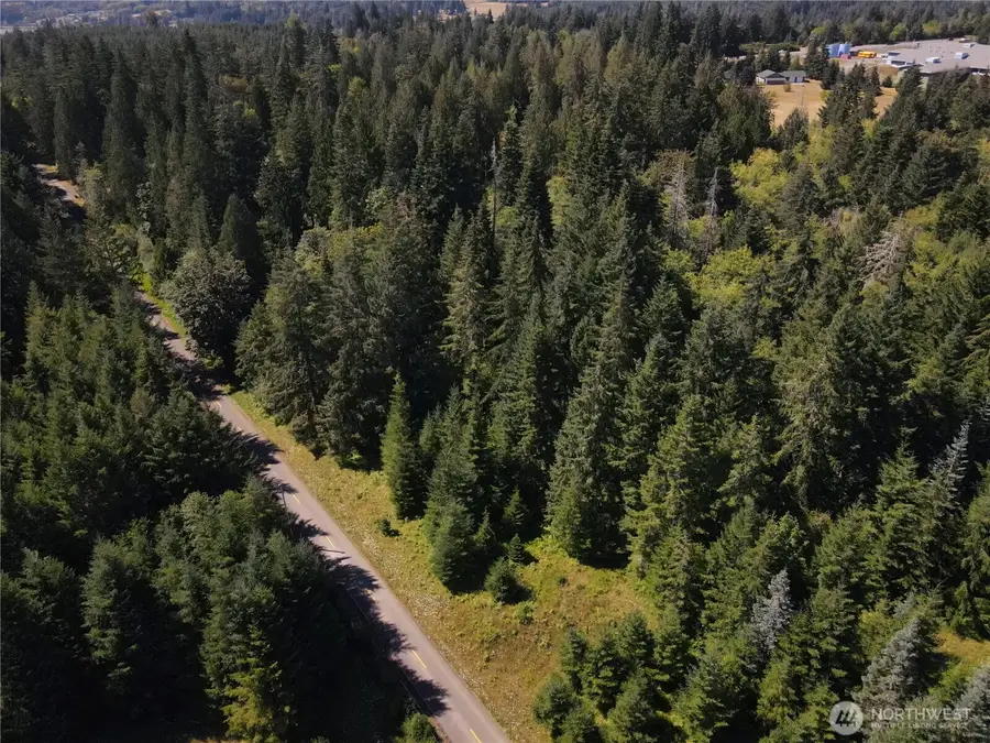 0 E Scarlet Road, Shelton, WA 98584 - #3