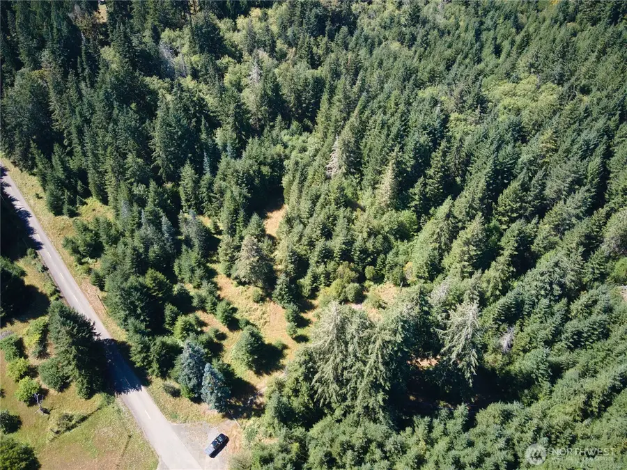 0 E Scarlet Road, Shelton, WA 98584 - #3
