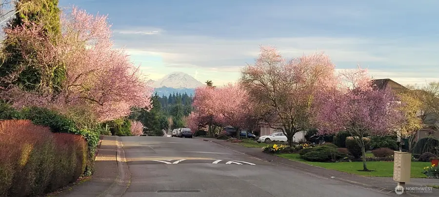 0 129th Place Se #2, Newcastle, WA 98056 - #2