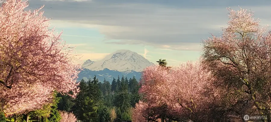 0 129th Place Se #2, Newcastle, WA 98056 - #3