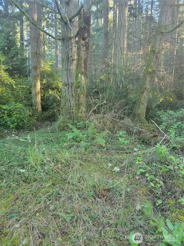 11920 Country Club Drive, Anderson Island, WA 98303