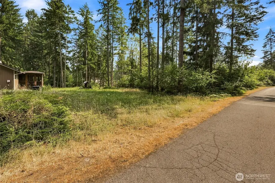18109 Stoney Court Se, Yelm, WA 98597 - #2