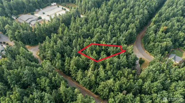 11624 Mill Place, Anderson Island, WA 98303