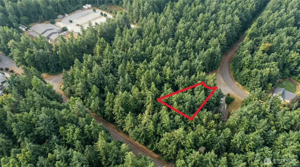 11620 Mill Place, Anderson Island, WA 98303 - #1