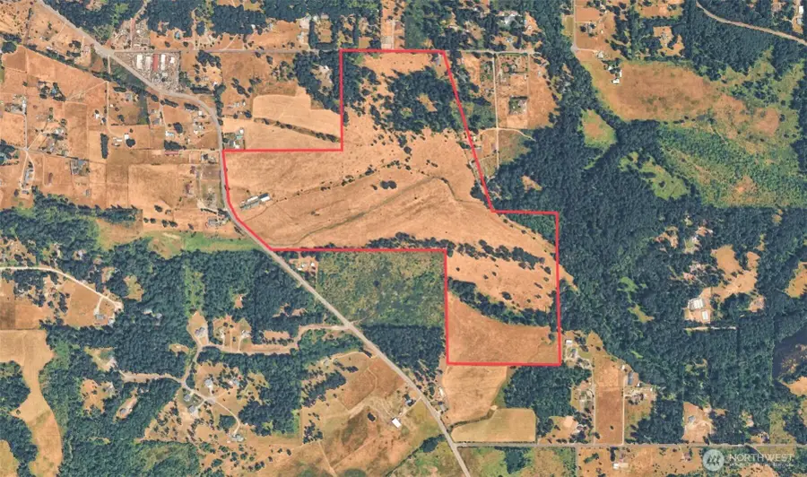 12306 Bald Hill Road Se, Yelm, WA 98597 - #3